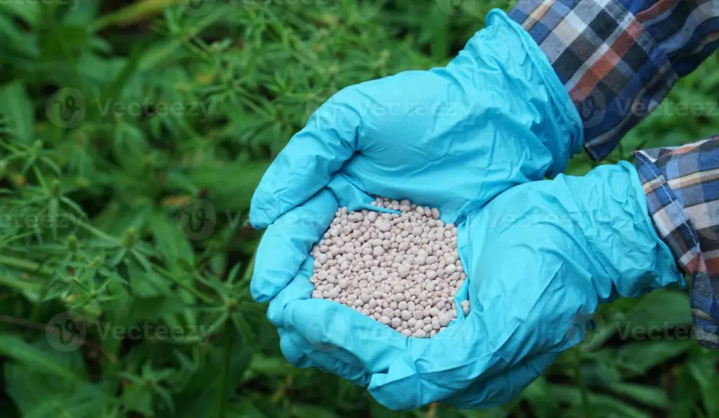 Fertilizantes: setor vê mercado com oferta, sem risco de desabastecimento para a nova safra
