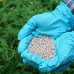 Fertilizantes: setor vê mercado com oferta, sem risco de desabastecimento para a nova safra