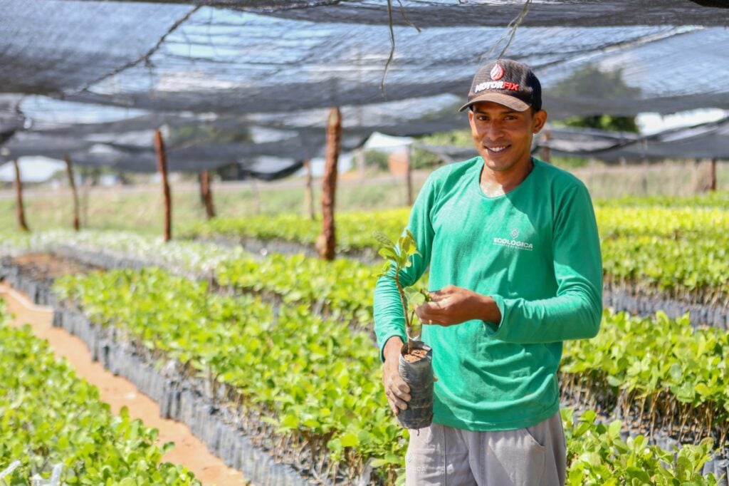 Agricultor familiar contemplado pelo programa Garantia Safra no Piauí