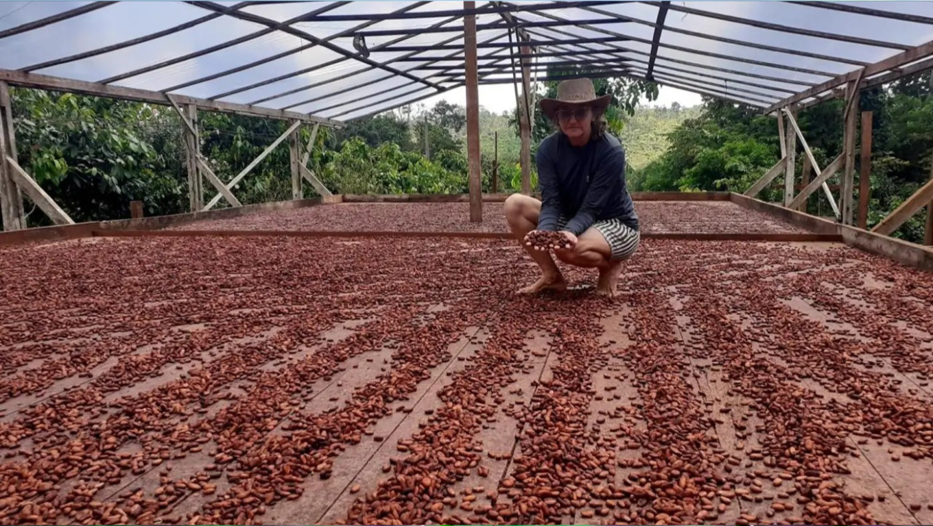 agricultora segurando sementes de cacau