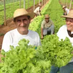 Conab participa de encontro no Amazonas e avalia integração e novos horizontes para a agricultura familiar no estado