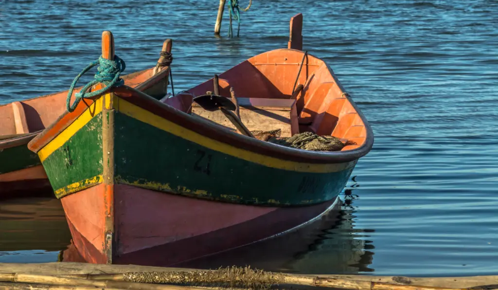 Capacitação fortalece cadeia da pesca artesanal no Tocantins
