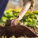 A imagem demonstra um produtor utilizando uma ferramenta agrícola durante o cultivo de alimentos