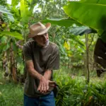 Imagem simboliza produtor integrante da agricultura familiar