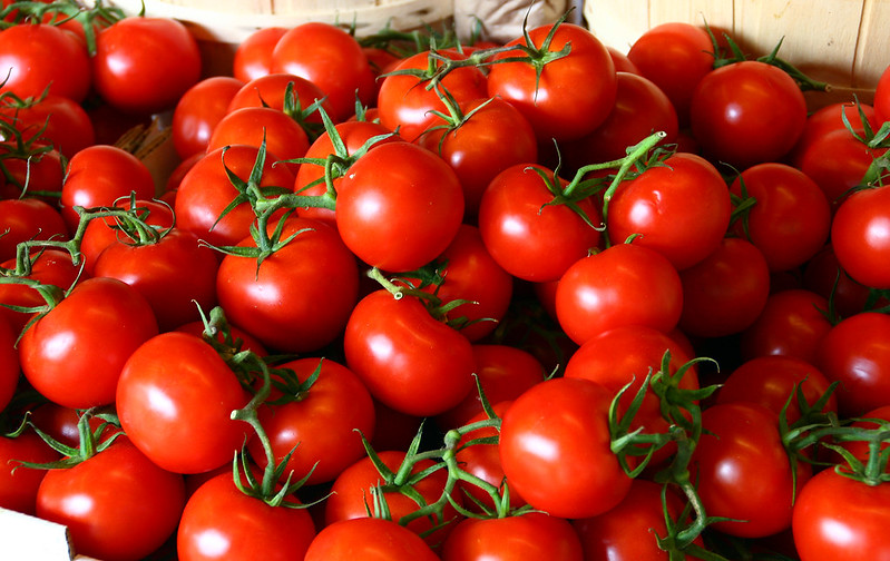 Modelo computacional realiza controle de qualidade de tomates por cores