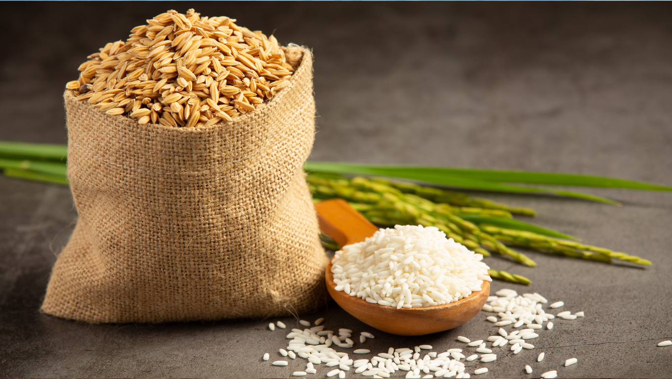 pacote de arroz colhido ao lado de cumbuca com arroz cozido