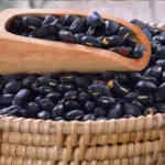 Conab vai receber 50 toneladas de feijão preto oriundos da agricultura familiar em SC