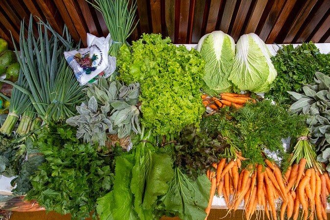 Governo Federal lança chamada pública para fortalecimento dos Núcleos de Estudos em Agroecologia (NEAs)