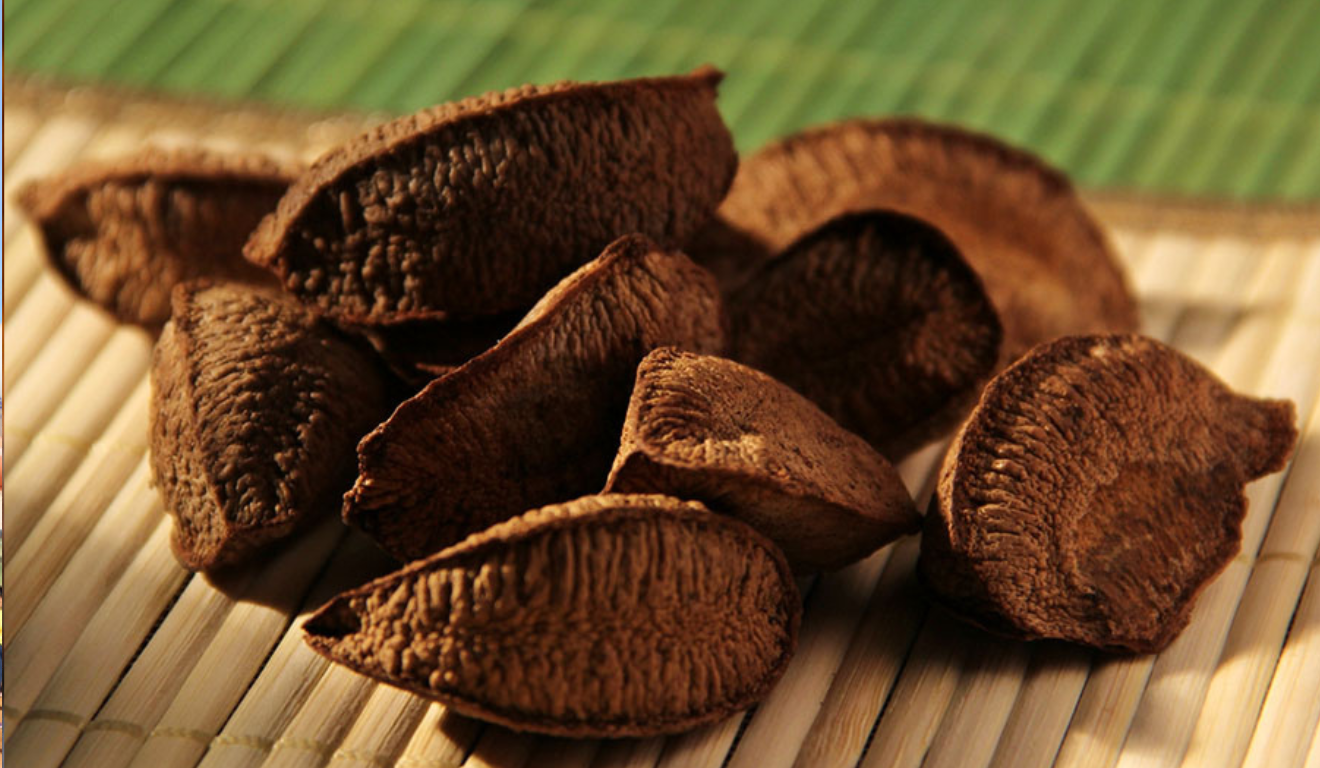 Embrapa indica melhores práticas para rendimento positivo da safra de castanha-do-amazônas