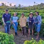 Dia de Campo leva boas práticas para agricultores familiares
