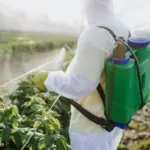 Inseticidas na agricultura: como funcionam e quais cuidados tomar