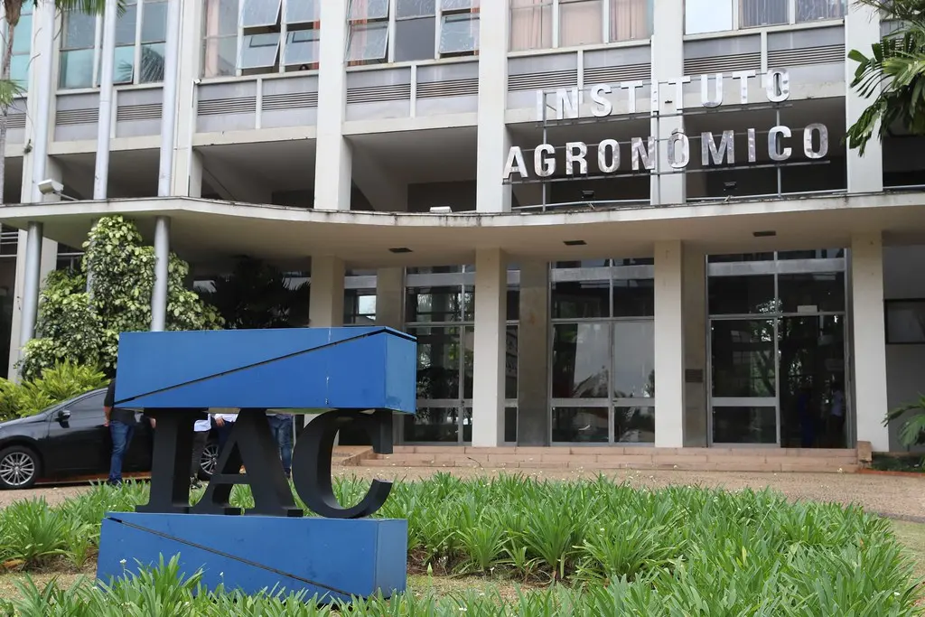 A imagem contém o IAC que lançará cultivares de cana, feijão e batata no Agrishow A imagem contém o IAC que lançará cultivares de cana, feijão e batata no Agrishow