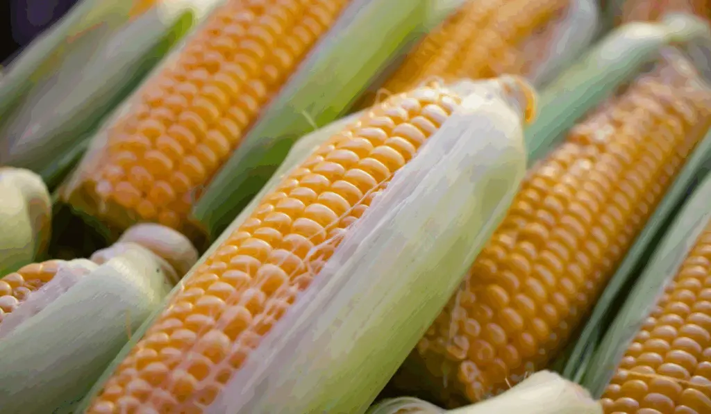 Imagem ilustra o avanço do Índice de Preços ao Produtor de Grupos de Produtos Agropecuários, que foi sustentado pelos preços de grãos, hortaliças e frutas