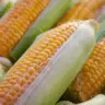 Imagem ilustra o avanço do Índice de Preços ao Produtor de Grupos de Produtos Agropecuários, que foi sustentado pelos preços de grãos, hortaliças e frutas