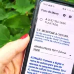 Imagem representa a ferramenta que permite o envio digital de dados por agricultores e otimiza certificação da produção orgânica