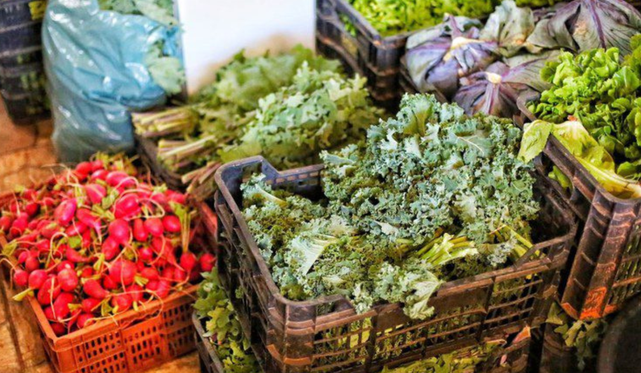 Programa de Aquisição de Alimentos (PAA) tem como objetivo fortalecer a produção local da agricultura familiar e combater a segurança alimentar