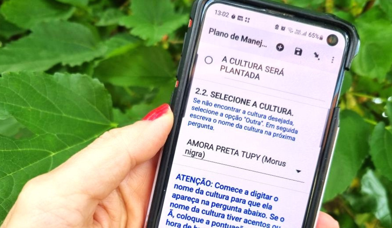 Imagem representa a ferramenta que permite o envio digital de dados por agricultores e otimiza certificação da produção orgânica