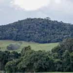 Primeira onda de frio chega ao Brasil
