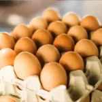 Exportações de ovos aumentaram
