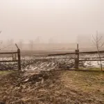 Chuvas extremas e secas prolongadas podem afetar a produção.