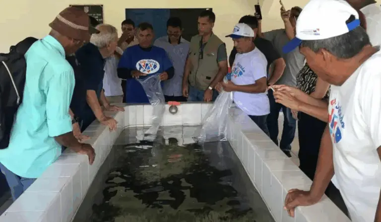 Piscicultura fortalecida no Pará