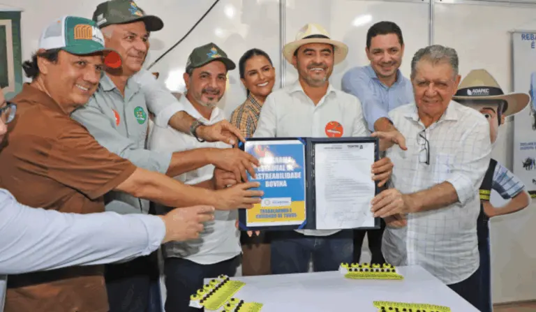 Imagem que simboliza o novo sistema Sirbov/TO que permite identificar e monitorar cada animal do rebanho bovino, reforçando controle sanitário e gestão rural
