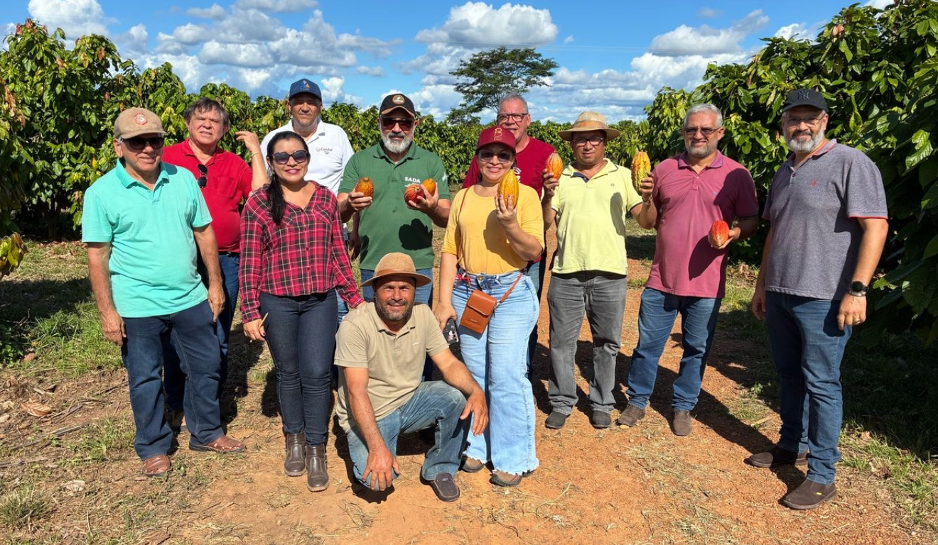 Projeto Cacau do Cerrado quer beneficiar produtores no Piauí