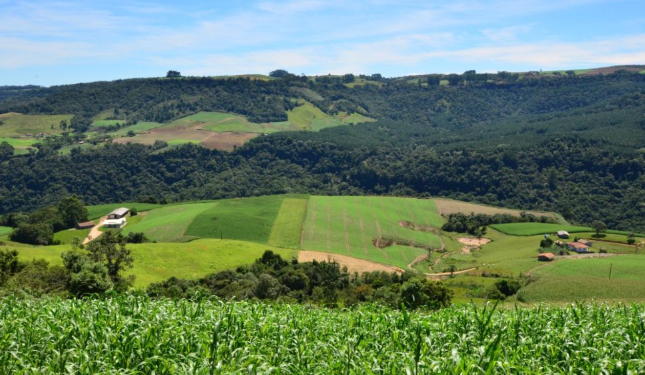 Epagri SC quer impulsionar a modernização do meio rural com base na integração entre inovação, conectividade no campo e sustentabilidade
