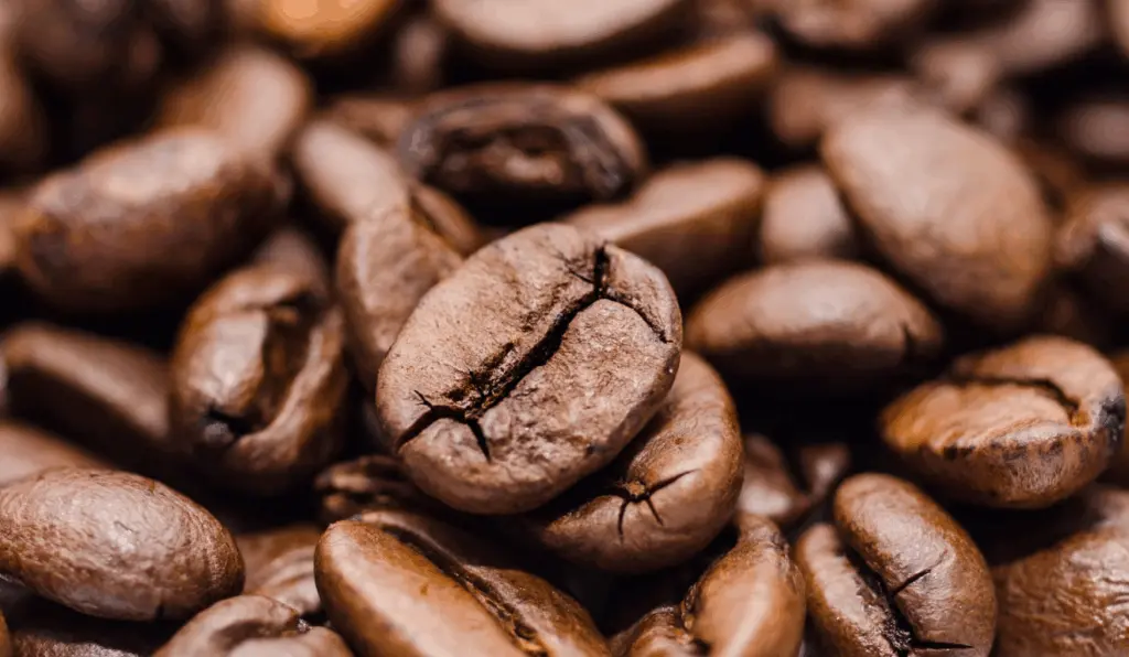 Imagem ilustra a nova classificação de cafés especiais adotadas pelo Brasil Imagem ilustra a nova classificação de cafés especiais adotadas pelo Brasil