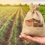 Projeto na Câmara cria programa de crédito rural simplificado