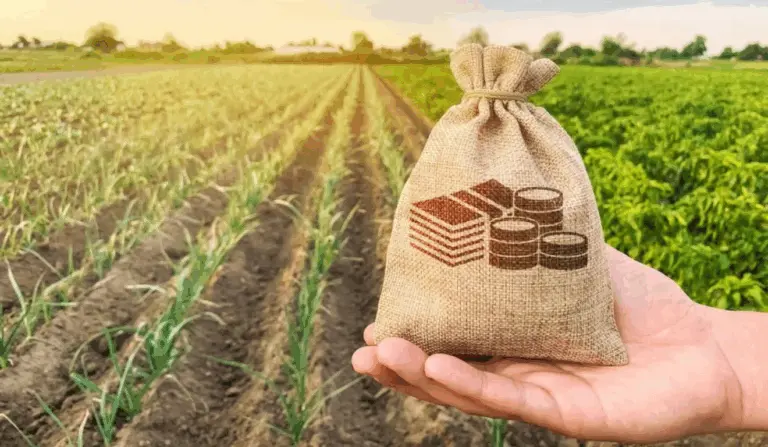 Projeto na Câmara cria programa de crédito rural simplificado