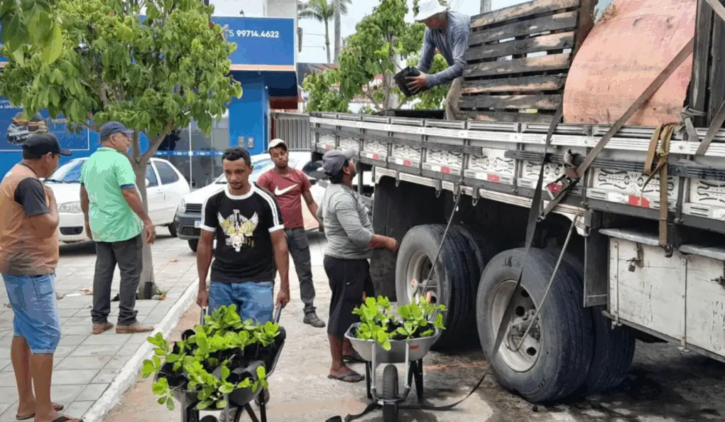 Ação beneficia 1.780 famílias com kits agrícolas e assistência técnica em 19 municípios do Semiárido baiano Ação beneficia 1.780 famílias com kits agrícolas e assistência técnica em 19 municípios do Semiárido baiano