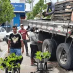 Ação beneficia 1.780 famílias com kits agrícolas e assistência técnica em 19 municípios do Semiárido baiano