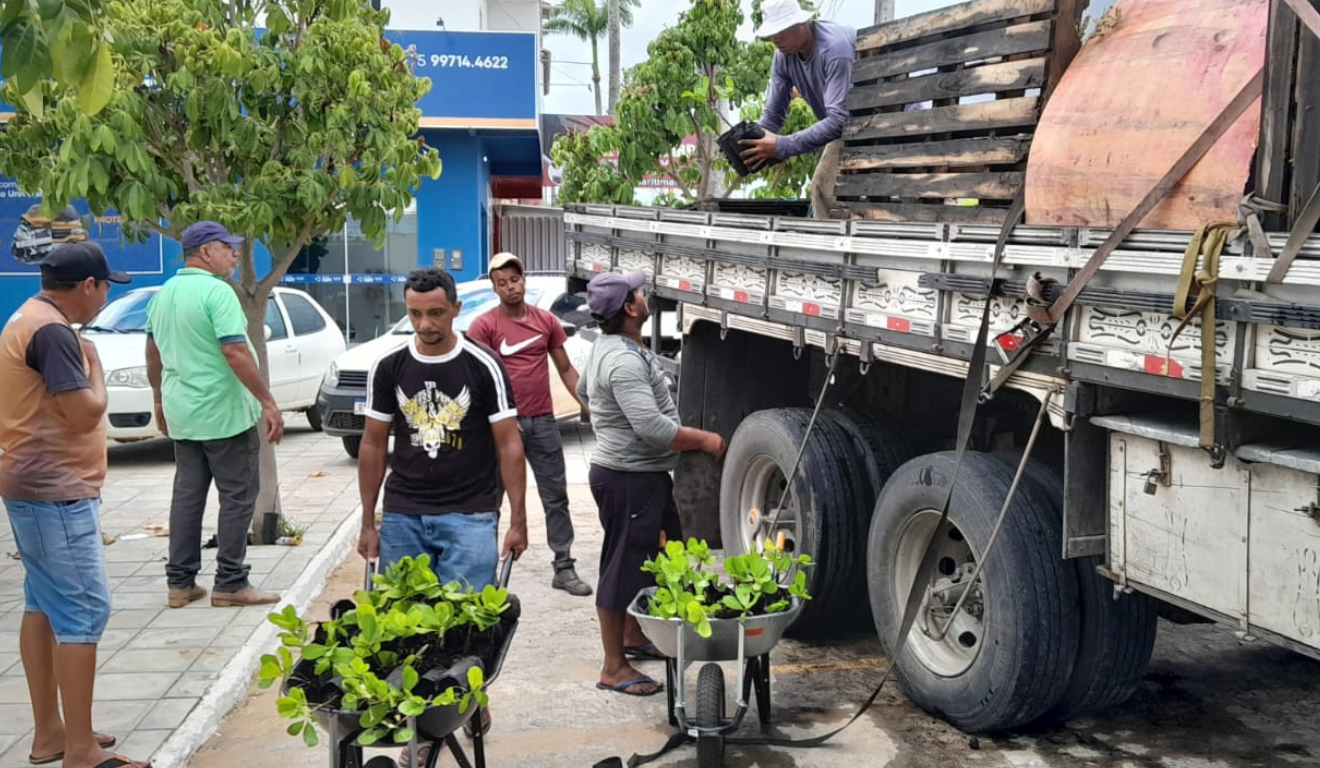 Ação beneficia 1.780 famílias com kits agrícolas e assistência técnica em 19 municípios do Semiárido baiano