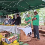Evento do Senar destacou fruticultura familiar em assentamentos e tecnologias para agricultura familiar em Itaquiraí (MS)