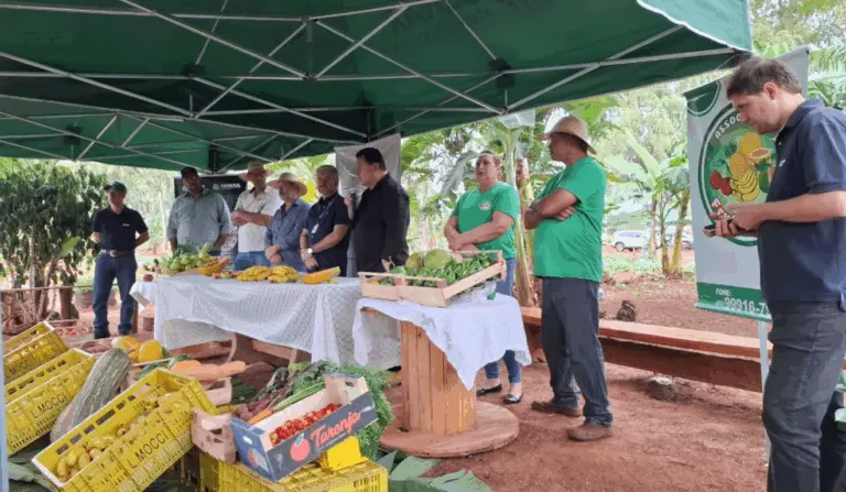 Evento do Senar destacou fruticultura familiar em assentamentos e tecnologias para agricultura familiar em Itaquiraí (MS)