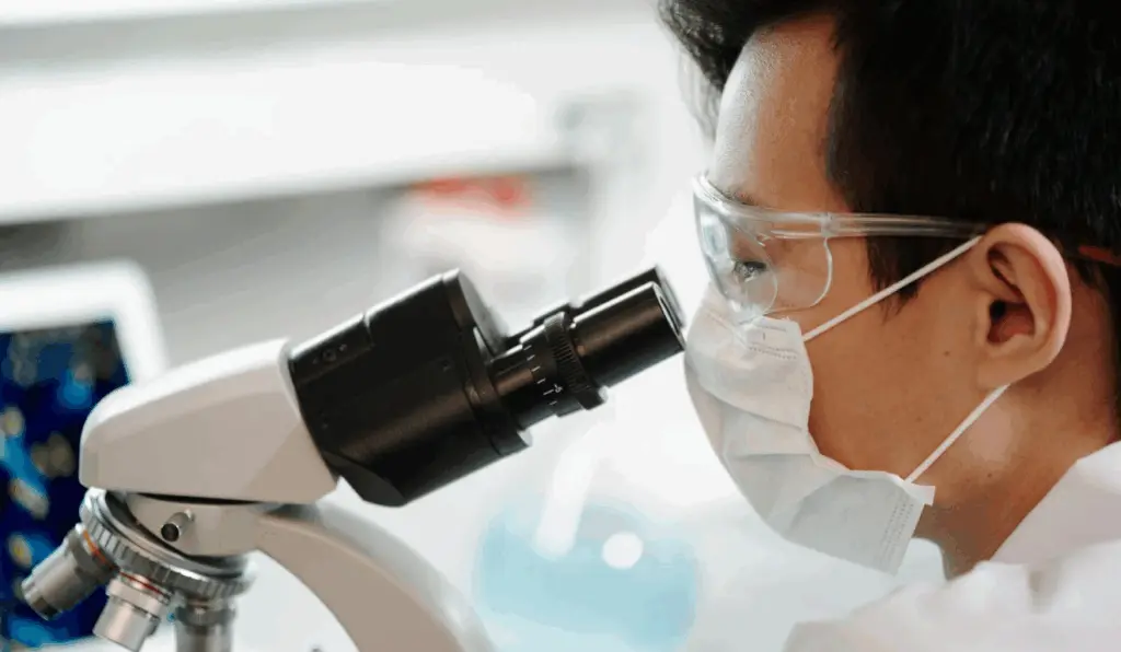 A imagem simboliza os estudos em silagens, nutrigenômica e microbiologia aplicada ao semiárido estão sendo desenvolvidos nos laboratórios da UFPB