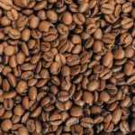 Colheita de café começou, mas segue em ritmo mais lento. A expectativa é de que os trabalhos ganhem intensidade nas próximas semanas
