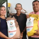 A Secretaria de Estado da Agricultura e Pecuária (Seagri) do Alagoas anunciou, ontem (13), o andamento à etapa de distribuição de sementes do Planta Alagoas 2025