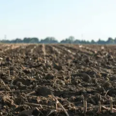 Solo agrícola analisado para escolha de insumos que elevam a produtividade e qualidade nutricional das lavouras