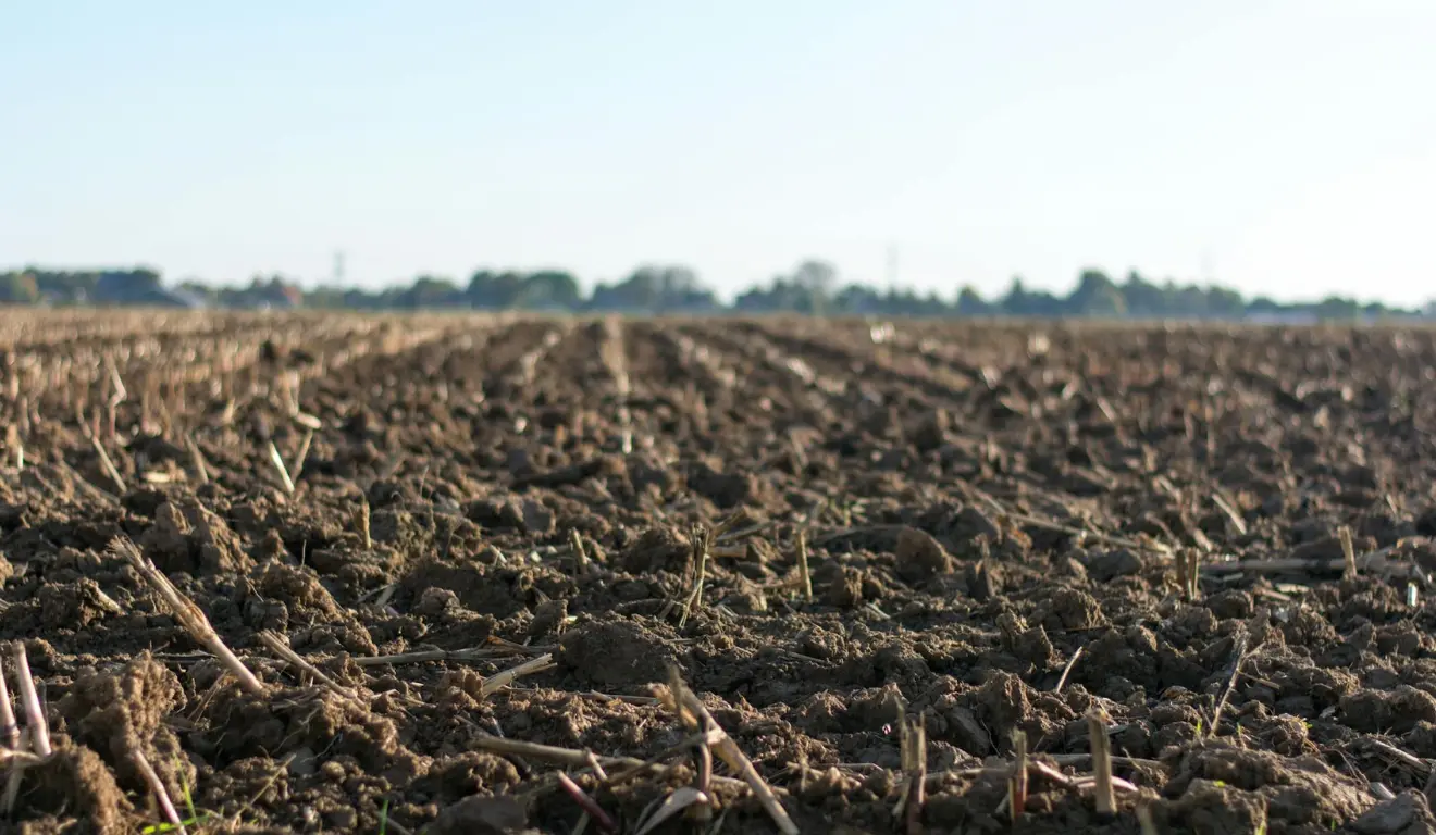 Solo agrícola analisado para escolha de insumos que elevam a produtividade e qualidade nutricional das lavouras Solo agrícola analisado para escolha de insumos que elevam a produtividade e qualidade nutricional das lavouras
