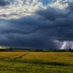 Foto: Jay's Photography/Pexels