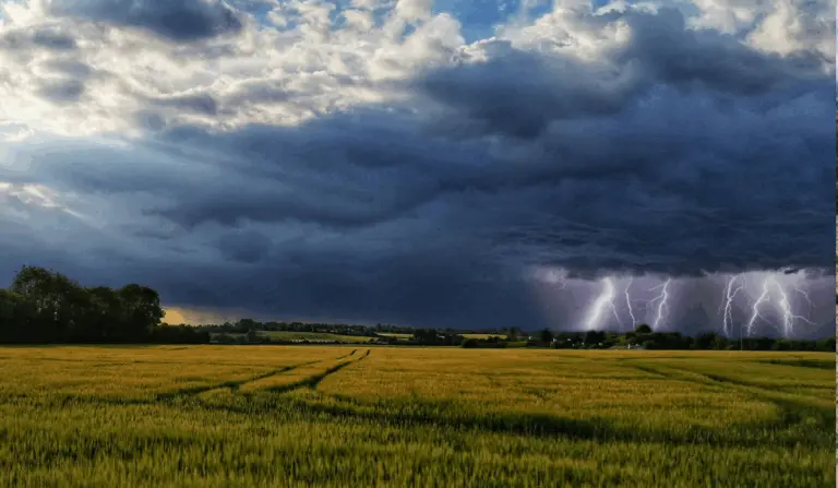 Foto: Jay's Photography/Pexels