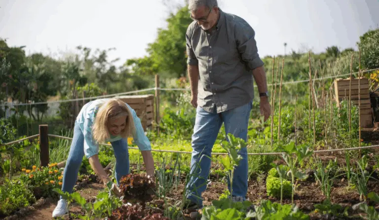 SolloAgro promove educação para transformar a agricultura brasileira