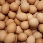 A imagem representa a forte demanda norte-americana por ovos brasileiros no período