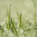 Foto: Thomas/Unsplash