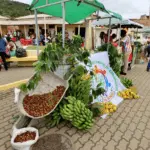 O Governo da Bahia entregou, no último domingo (25), uma unidade produtiva e equipamentos na cidade de Ribeirão do Largo, no sudoeste do estado.