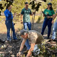 Pesquisadores tocantinenses reintroduzem bromélia ameaçada no Cerrado durante plantio em área de conservação.