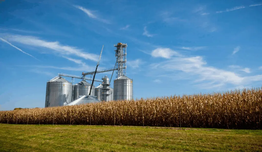 Silos agrícolas são investimentos estratégicos no consórcio rural