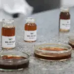 A imagem destaca o mel de açaí produzido por abelhas africanizadas na Amazônia